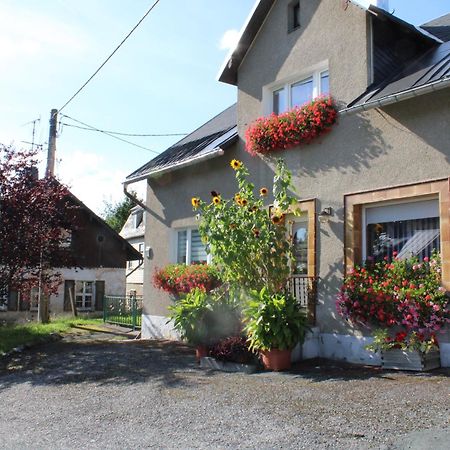 Ferienwohnung Am Muehlbach Klingenthal Exterior photo